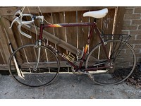 peugeot 501 bicycle